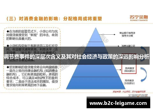 调节费事件的深层次含义及其对社会经济与政策的深远影响分析