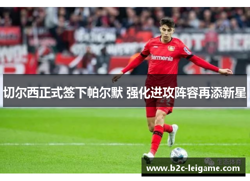 切尔西正式签下帕尔默 强化进攻阵容再添新星 切尔西正式签下帕尔默 强化进攻阵容再添新星